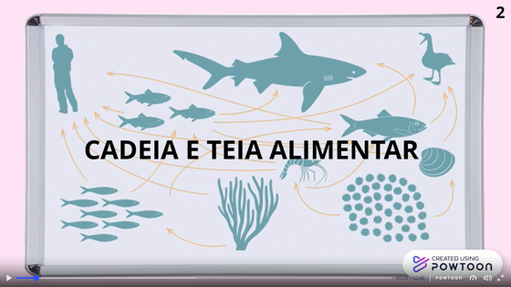 Vídeo Cadeia e Teia Alimentar