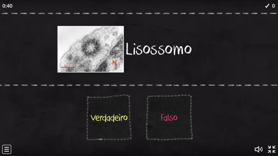 Jogo Organelas Citoplasmáticas Microscopia