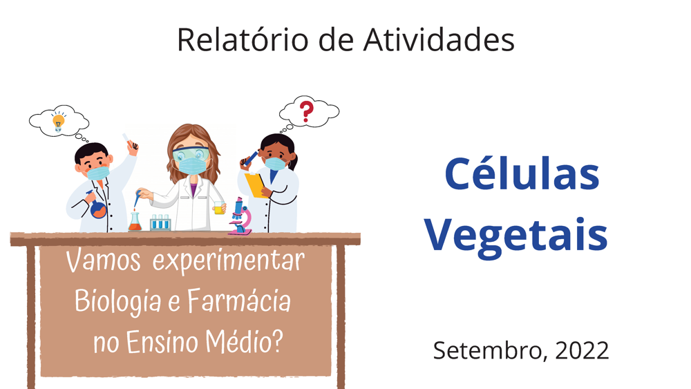 Relatório de atividades - Setembro